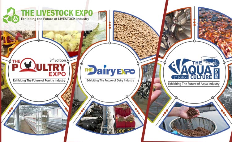 Livestock Expo 2025 Banner